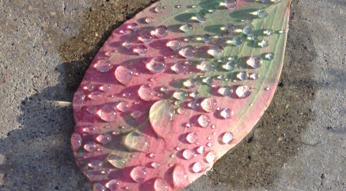 the Laborious and the Tedious of Unlearning