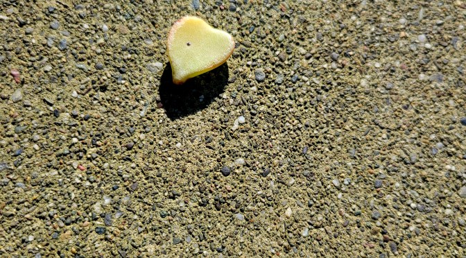 Statistically Speaking